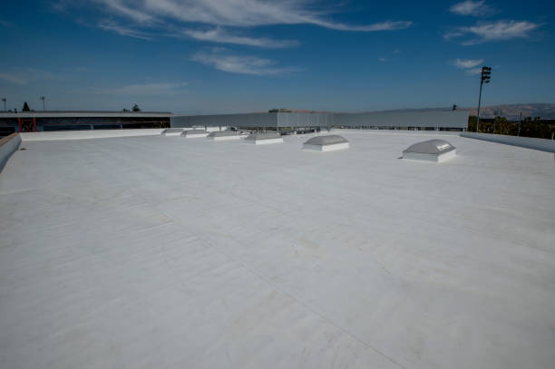 Best Skylight Installation and Repair  in Tahoma, CA